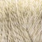 3 Pack Caron® Simply Soft Sunkissed™ Tonal Yarn